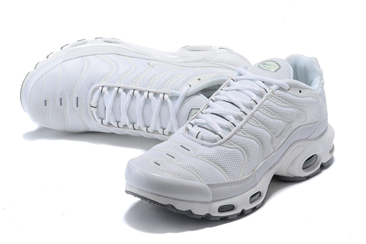 Men Nike Air Max PLUS White Silver